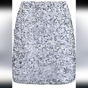 Silver Sequins Skirt Size Large By Reemonde